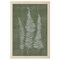 12" x 16" Woodland Ferns I Framed Wall Art, Contemporary Nature Home Décor, Glass Facing and Hanging Hardware Included
